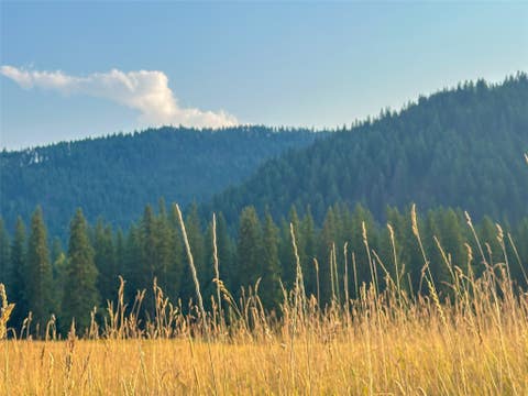 Tiny photo for NHN Little Beaver Creek Road, Thompson Falls, MT 59873 (MLS # 30076587)