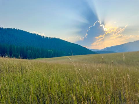 Tiny photo for NHN Little Beaver Creek Road, Thompson Falls, MT 59873 (MLS # 30076587)