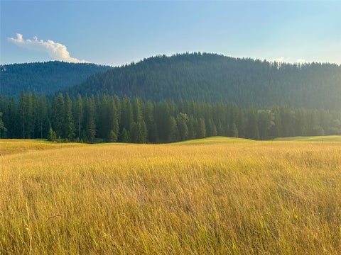 Tiny photo for NHN Little Beaver Creek Road, Thompson Falls, MT 59873 (MLS # 30076587)