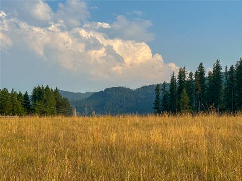 Tiny photo for NHN Little Beaver Creek Road, Thompson Falls, MT 59873 (MLS # 30076587)