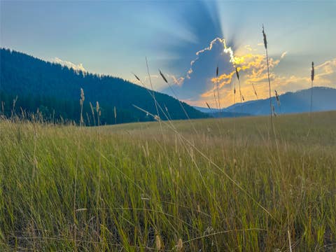 Tiny photo for NHN Little Beaver Creek Road, Thompson Falls, MT 59873 (MLS # 30076587)