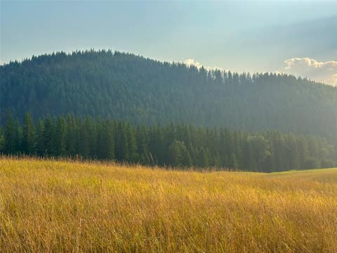 Tiny photo for NHN Little Beaver Creek Road, Thompson Falls, MT 59873 (MLS # 30076587)