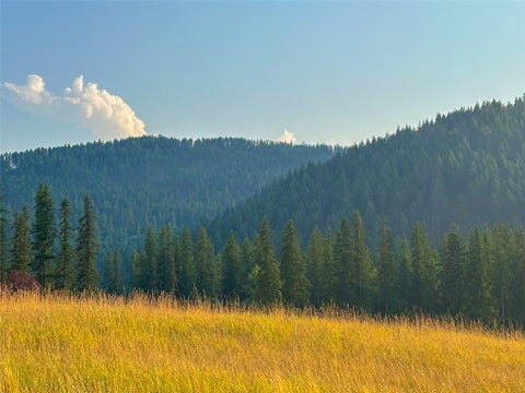 Tiny photo for NHN Little Beaver Creek Road, Thompson Falls, MT 59873 (MLS # 30076587)