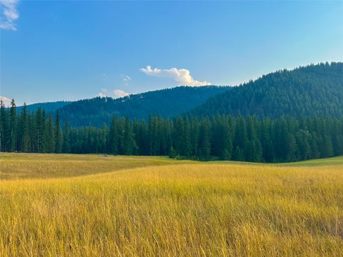 Tiny photo for NHN Little Beaver Creek Road, Thompson Falls, MT 59873 (MLS # 30076587)