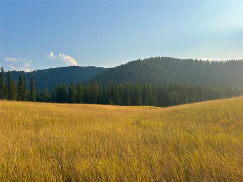 Tiny photo for NHN Little Beaver Creek Road, Thompson Falls, MT 59873 (MLS # 30076587)