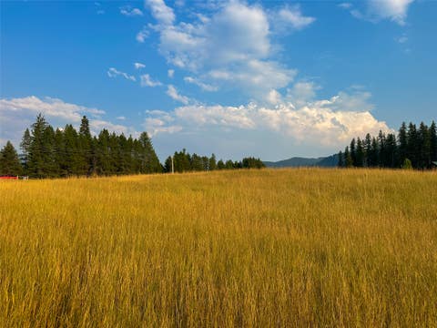 Tiny photo for NHN Little Beaver Creek Road, Thompson Falls, MT 59873 (MLS # 30076587)