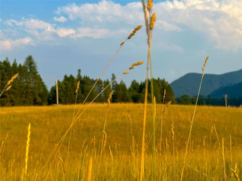Tiny photo for NHN Little Beaver Creek Road, Thompson Falls, MT 59873 (MLS # 30076587)