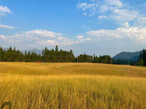 Tiny photo for NHN Little Beaver Creek Road, Thompson Falls, MT 59873 (MLS # 30076587)