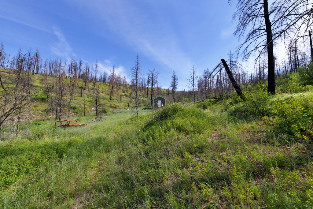 Photo of 185 Lower Lamaraux Creek Road, Paradise, MT 59856 (MLS # 30078625)