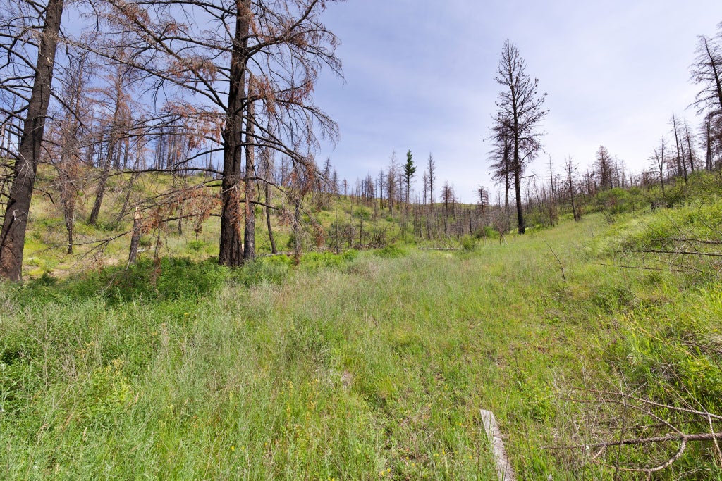 Photo of 185 Lower Lamaraux Creek Road, Paradise, MT 59856 (MLS # 30078625)