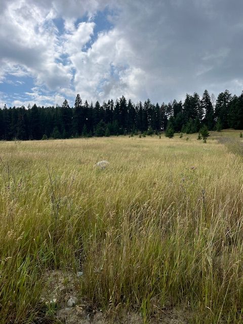 Tiny photo for 116 Prairie Lane, Kalispell, MT 59901 (MLS # 30066523)