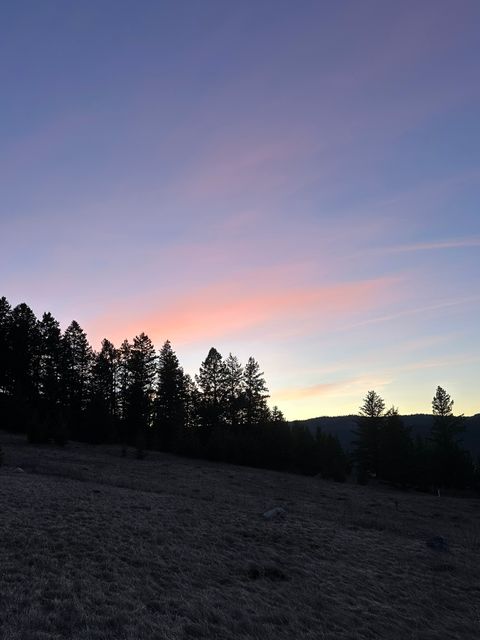 Tiny photo for 116 Prairie Lane, Kalispell, MT 59901 (MLS # 30066523)