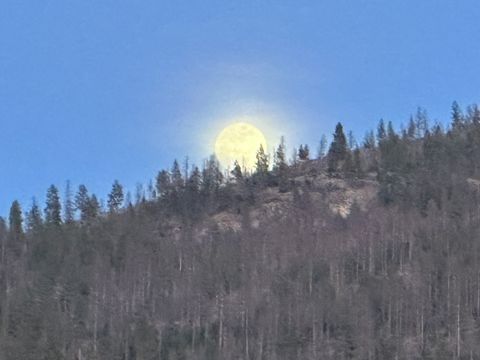 Tiny photo for 116 Prairie Lane, Kalispell, MT 59901 (MLS # 30066523)