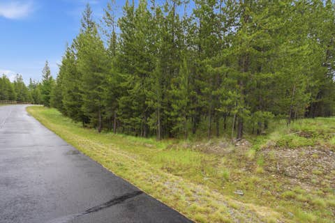 Tiny photo for 52 C W Mitchell Court, Marion, MT 59925 (MLS # 30073974)
