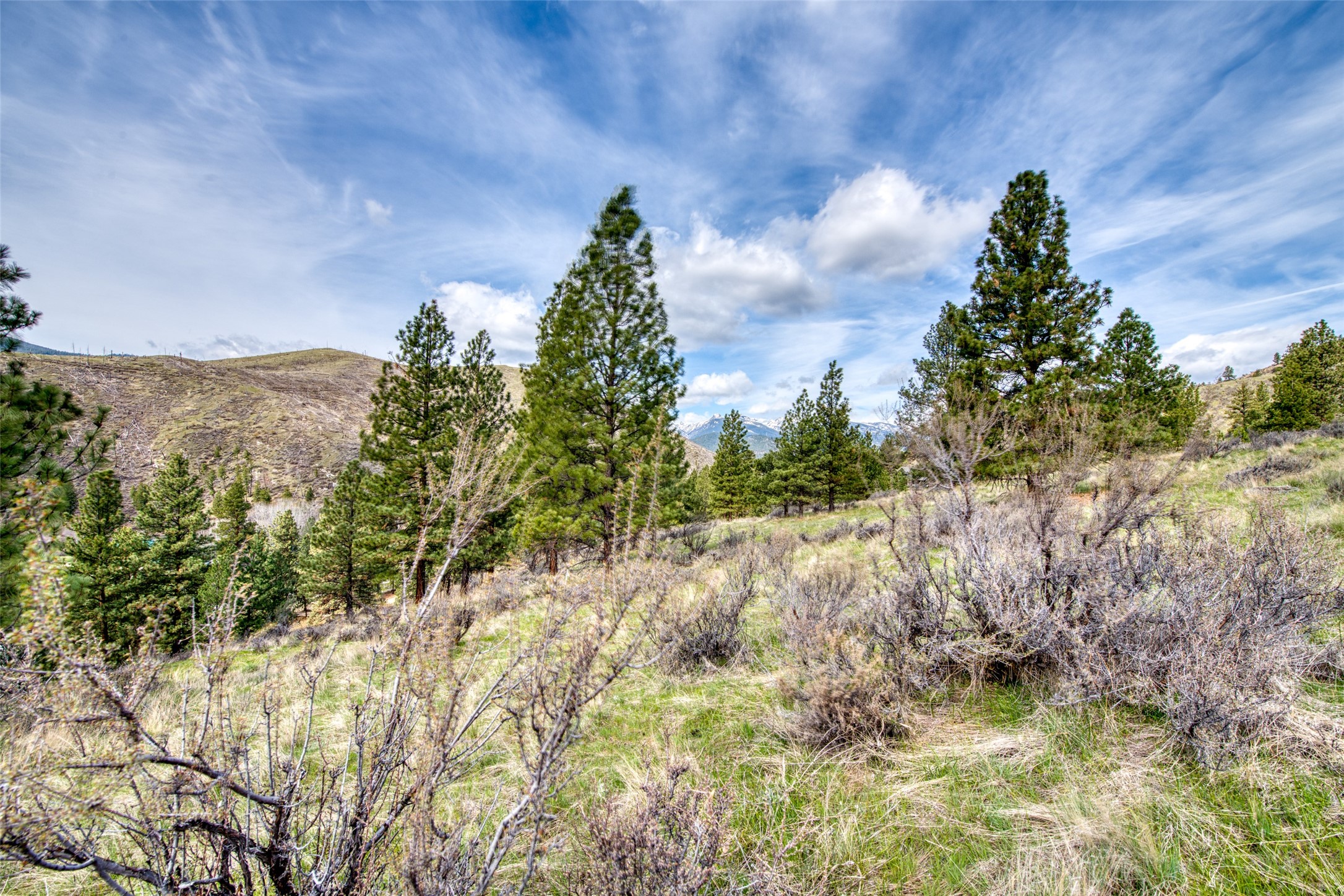 Conner, Montana 59827, United States, ,Commercial,Active,59898