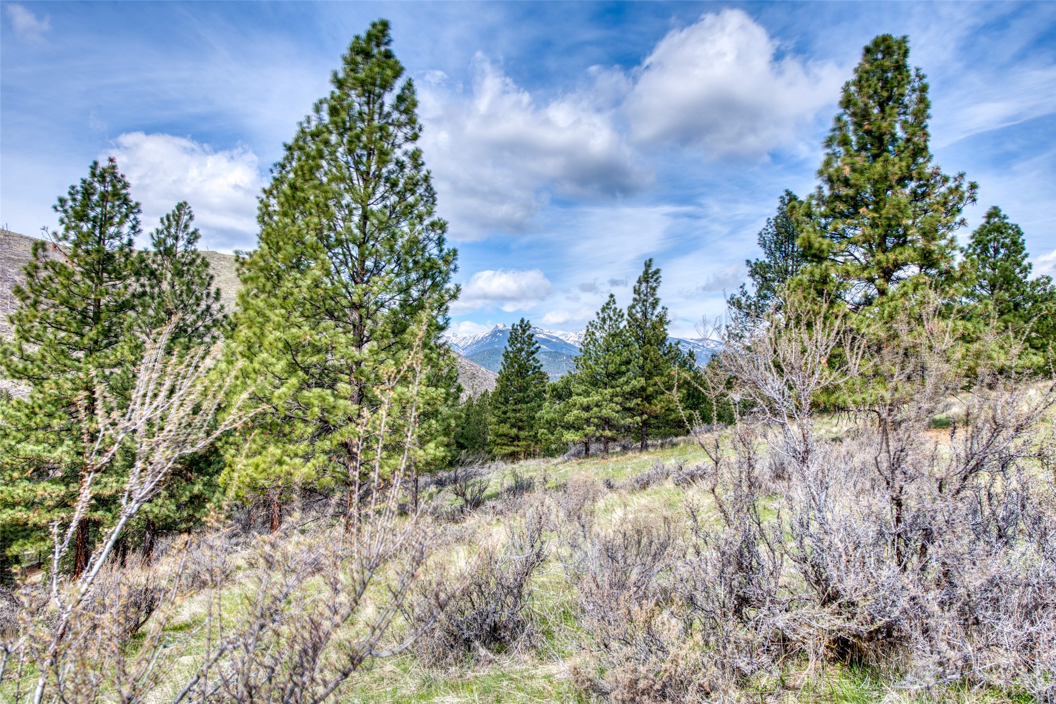 Conner, Montana 59827, United States, ,Commercial,Active,59898