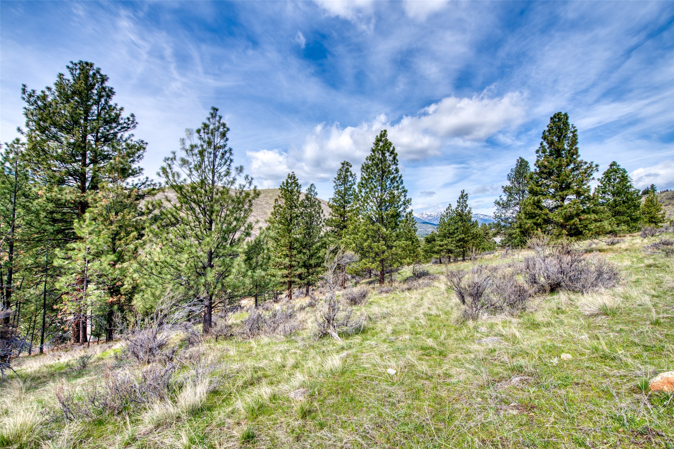 Conner, Montana 59827, United States, ,Commercial,Active,59898