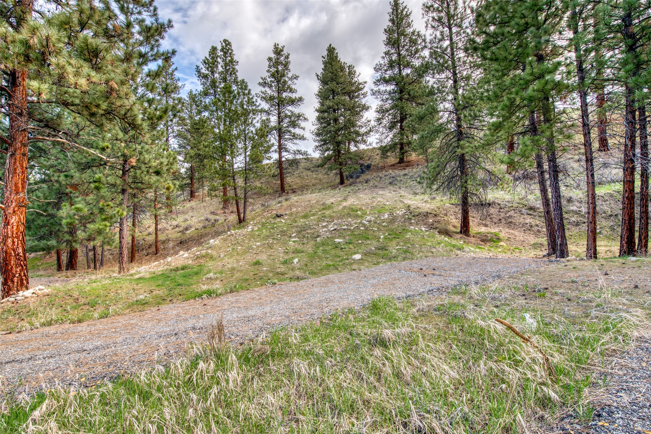 Conner, Montana 59827, United States, ,Commercial,Active,59898