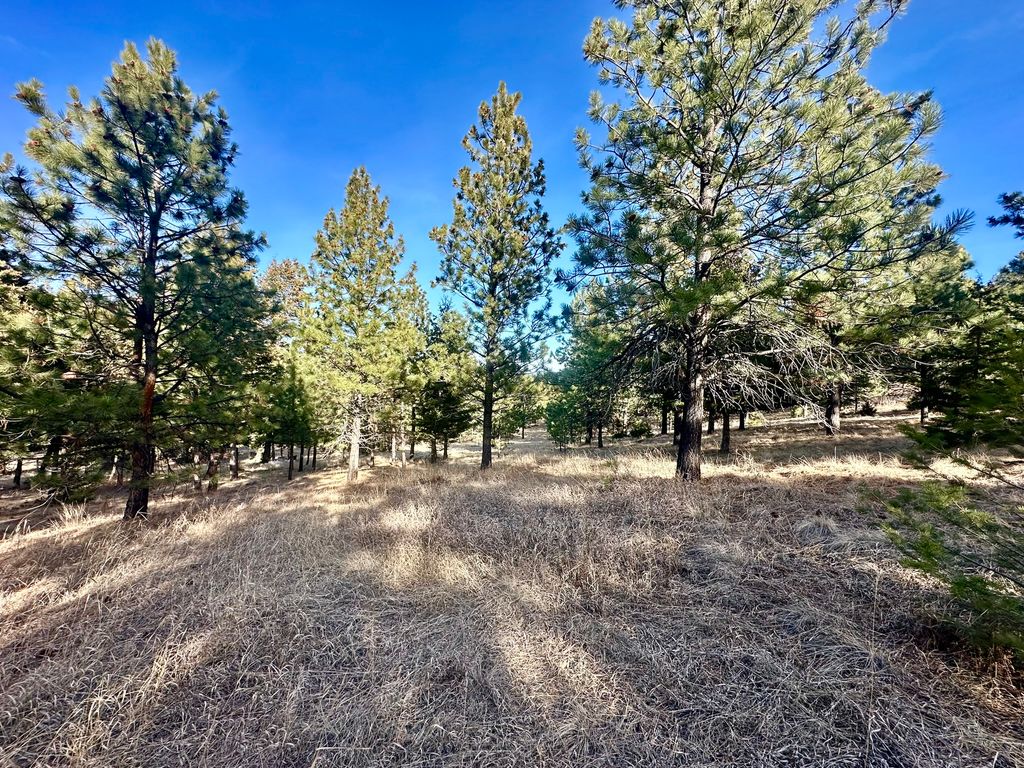 Photo of TBD Martinez Gulch, Clancy, MT 59634 (MLS # 30064332)