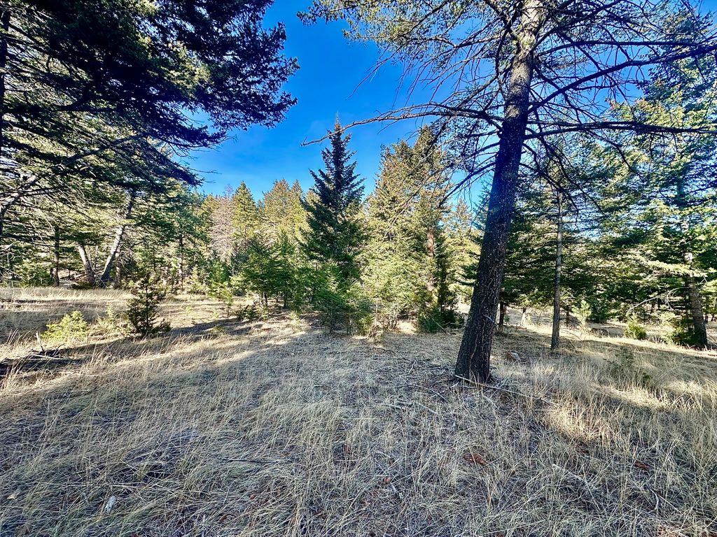 Photo of TBD Martinez Gulch, Clancy, MT 59634 (MLS # 30064332)