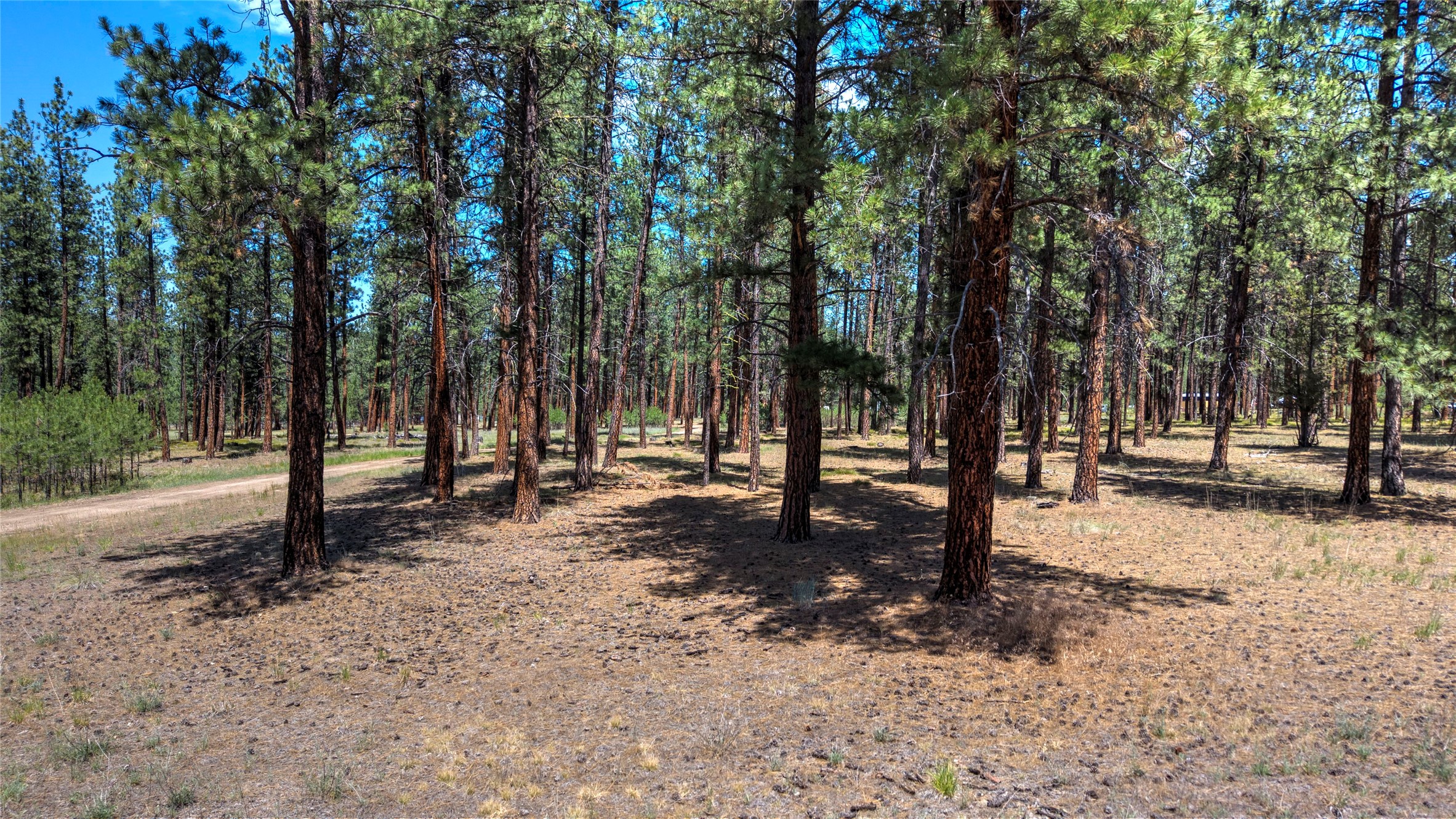 1120 Hole In The Wall Road