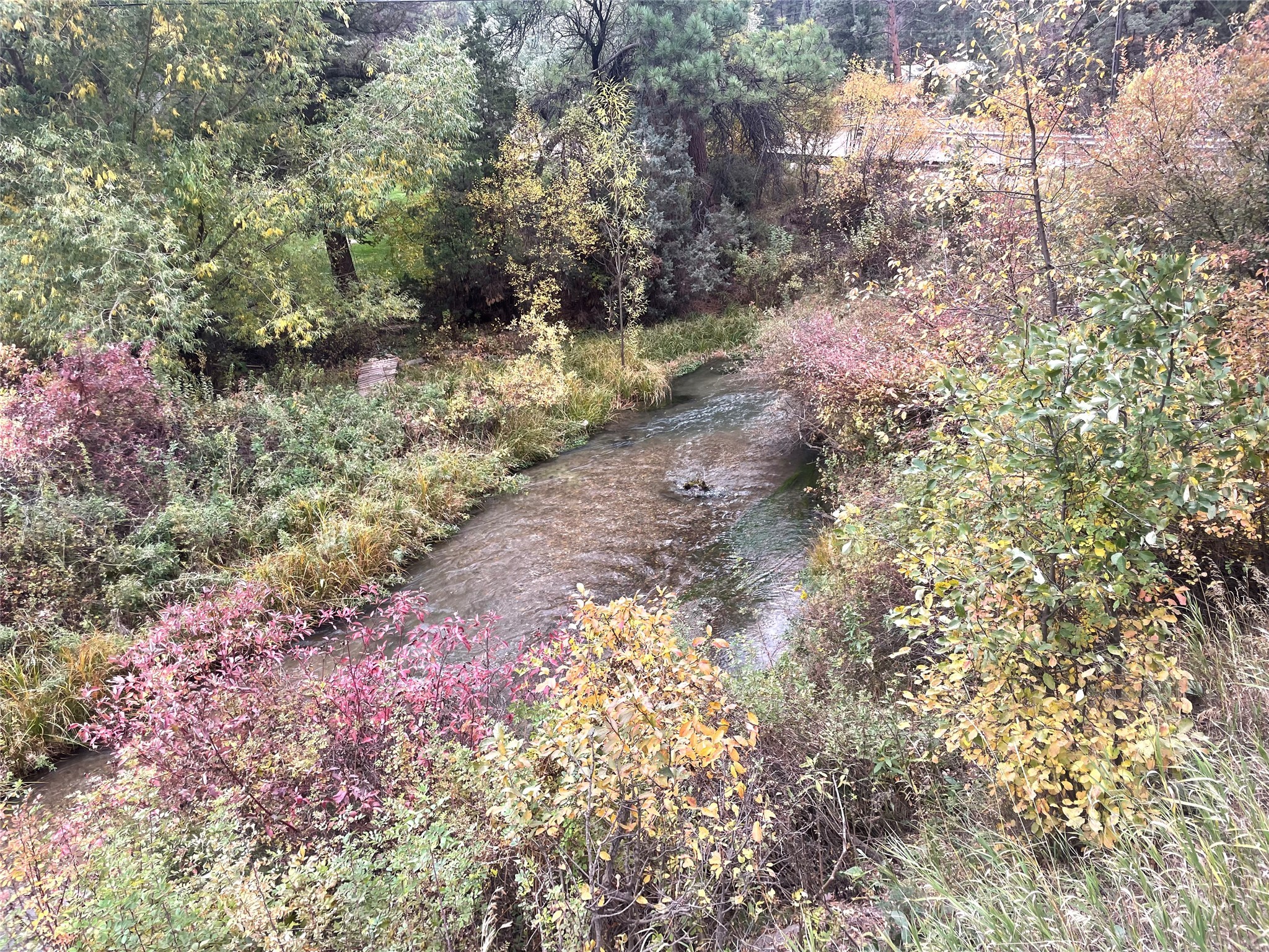 7300 Trout Creek Road