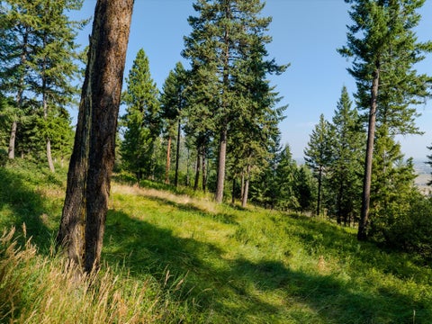 Tiny photo for 328 Glacier Ranch Road, Kalispell, MT 59901 (MLS # 30076265)