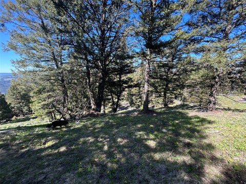 Tiny photo for 384 Crevice Mountain Road, Gardiner, MT 59030 (MLS # 30072123)