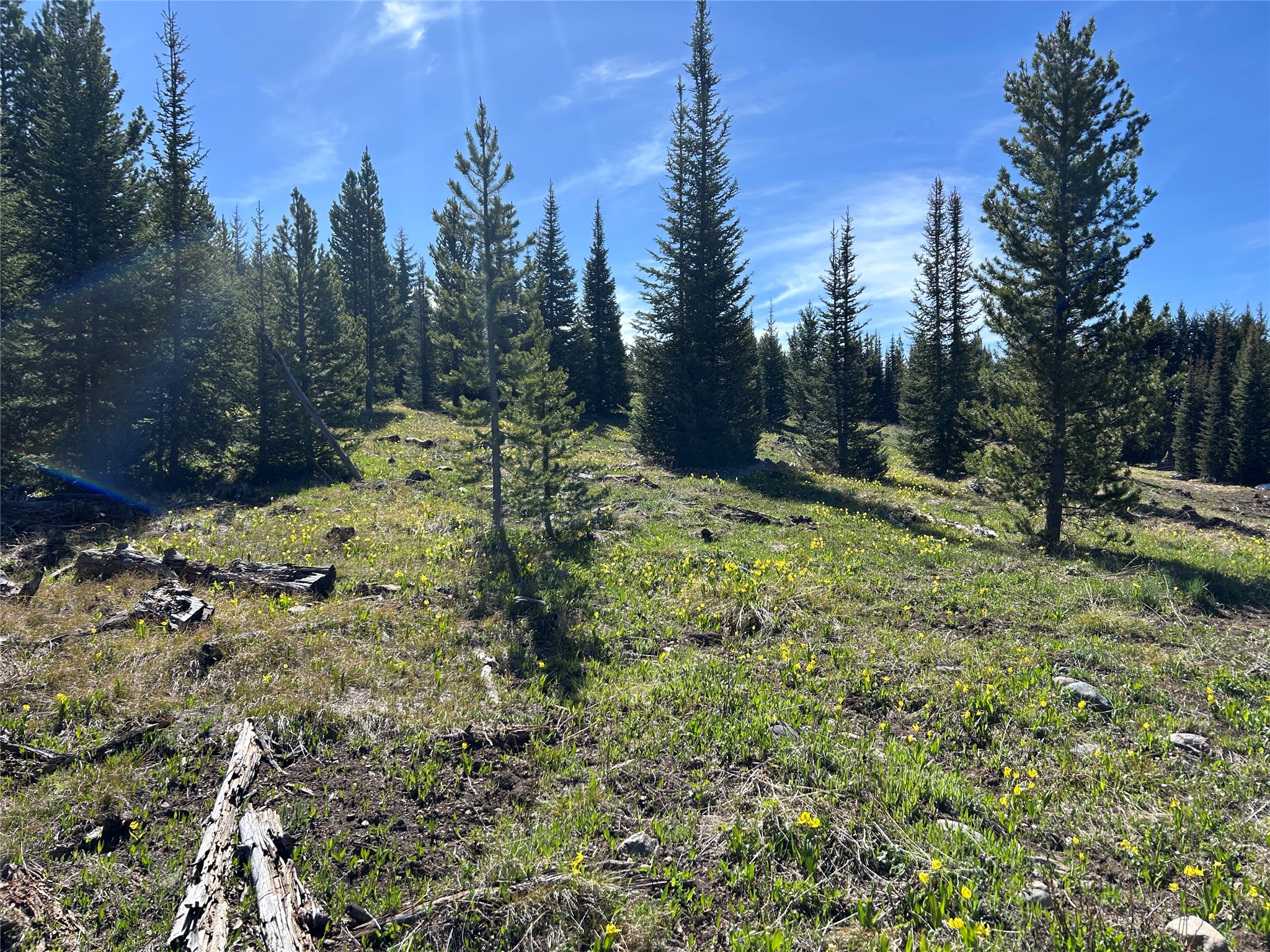 384 Crevice Mountain Road