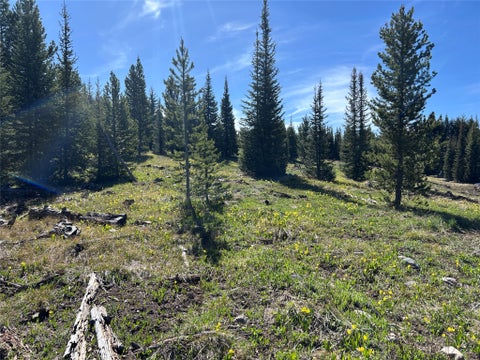 Tiny photo for 384 Crevice Mountain Road, Gardiner, MT 59030 (MLS # 30072123)