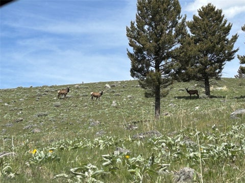 Tiny photo for 384 Crevice Mountain Road, Gardiner, MT 59030 (MLS # 30072123)