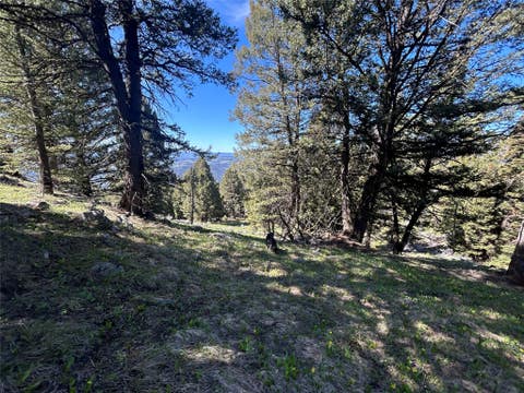 Tiny photo for 384 Crevice Mountain Road, Gardiner, MT 59030 (MLS # 30072123)