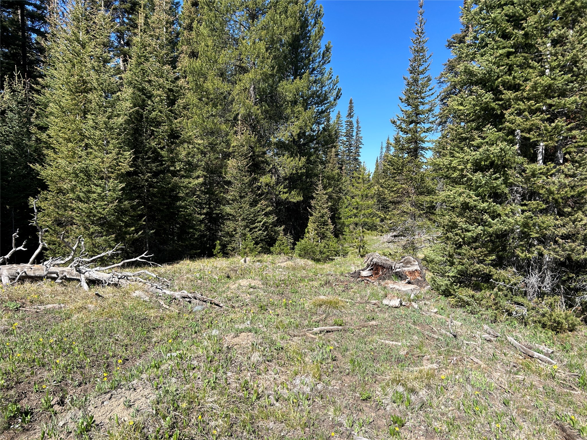 384 Crevice Mountain Road