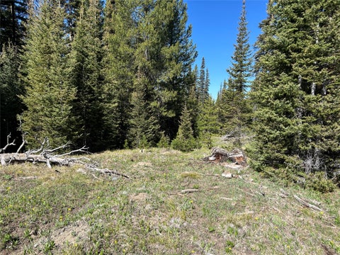 Tiny photo for 384 Crevice Mountain Road, Gardiner, MT 59030 (MLS # 30072123)