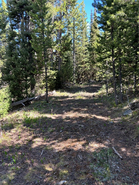 Tiny photo for 384 Crevice Mountain Road, Gardiner, MT 59030 (MLS # 30072123)