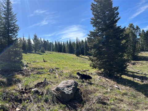 Tiny photo for 384 Crevice Mountain Road, Gardiner, MT 59030 (MLS # 30072123)