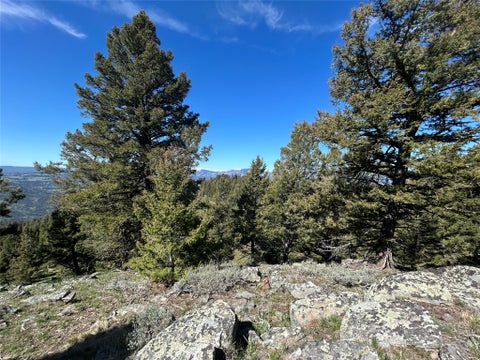 Tiny photo for 384 Crevice Mountain Road, Gardiner, MT 59030 (MLS # 30072123)