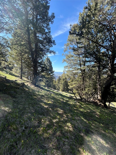 Tiny photo for 384 Crevice Mountain Road, Gardiner, MT 59030 (MLS # 30072123)