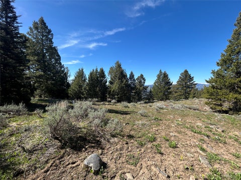 Tiny photo for 384 Crevice Mountain Road, Gardiner, MT 59030 (MLS # 30072123)