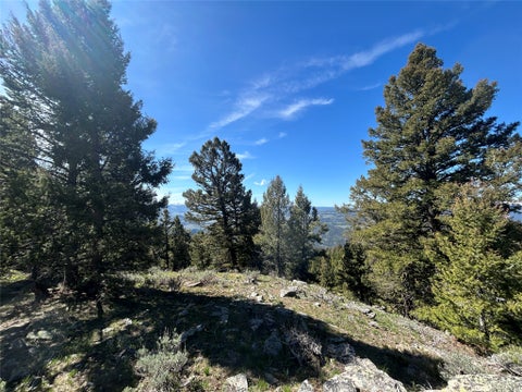 Tiny photo for 384 Crevice Mountain Road, Gardiner, MT 59030 (MLS # 30072123)
