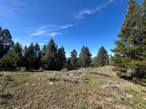 Tiny photo for 384 Crevice Mountain Road, Gardiner, MT 59030 (MLS # 30072123)