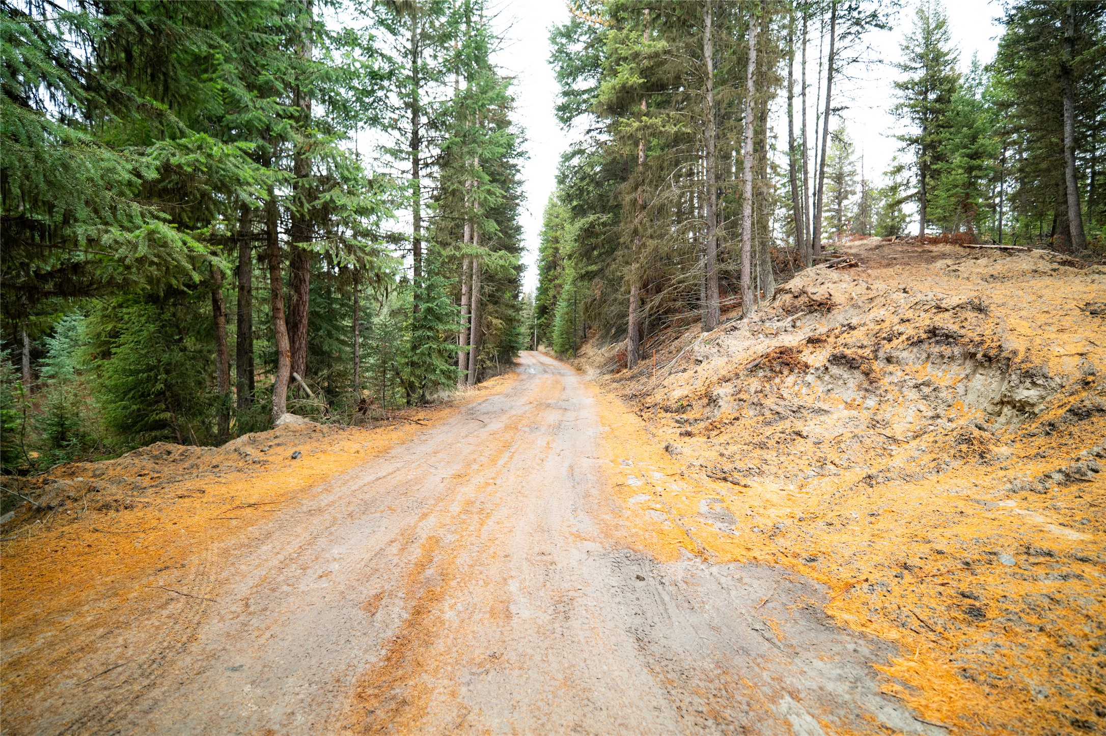 1875 Lower Lost Prairie Road