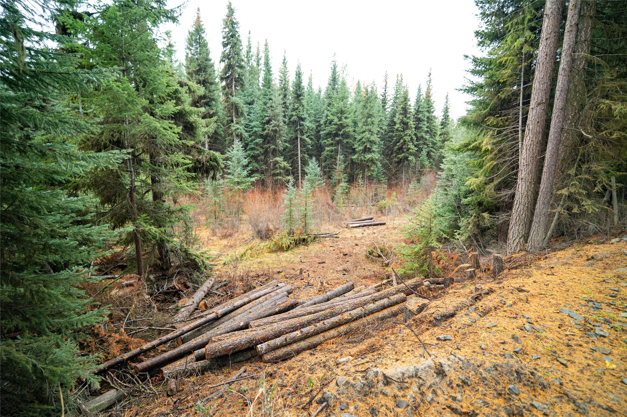 1875 Lower Lost Prairie Road