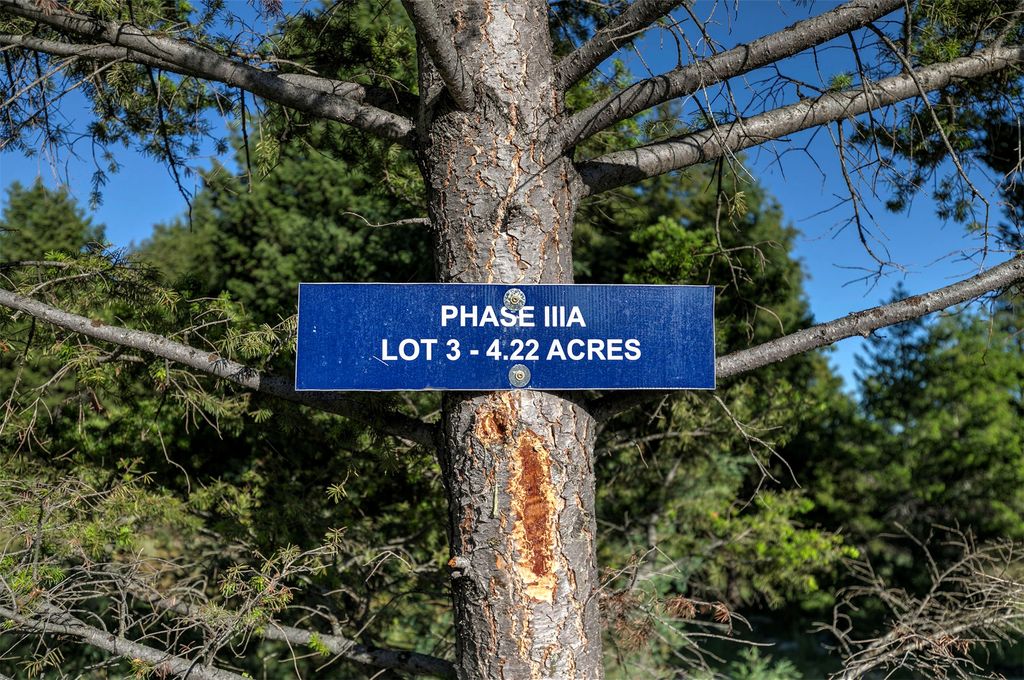 Photo of NHN Lot 3 Phase 3A Dolus Lakes Road #Lot 3, Deer Lodge, MT 59722 (MLS # 30069494)