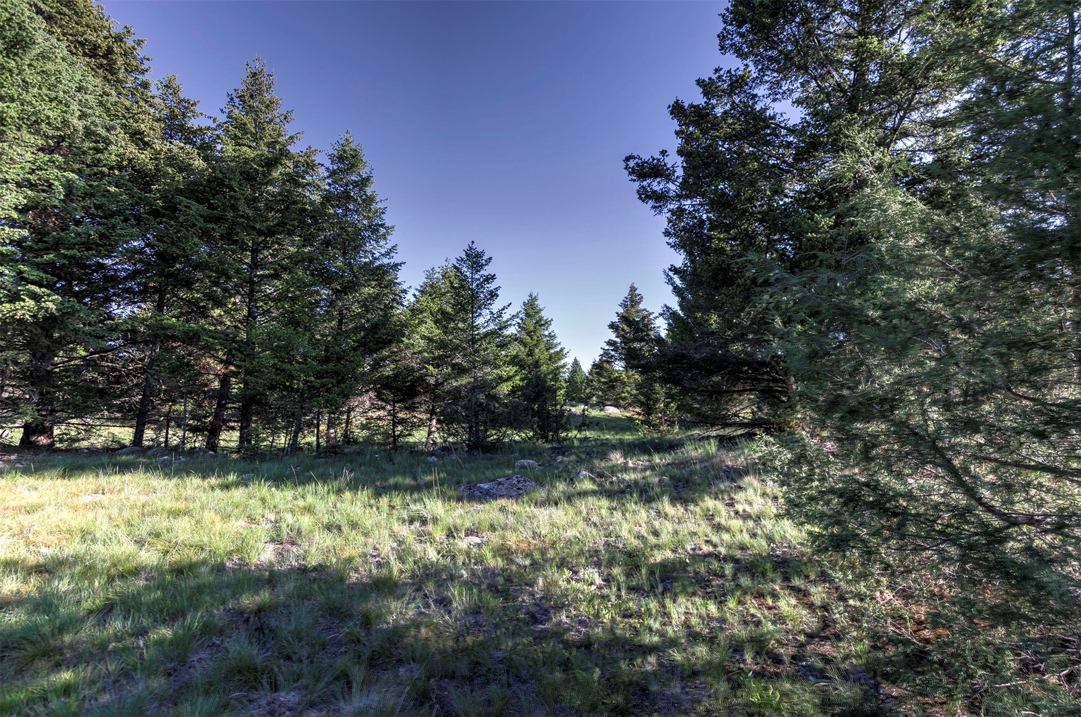 NHN Lot 3 Phase 3A Dolus Lakes Road Lot 3