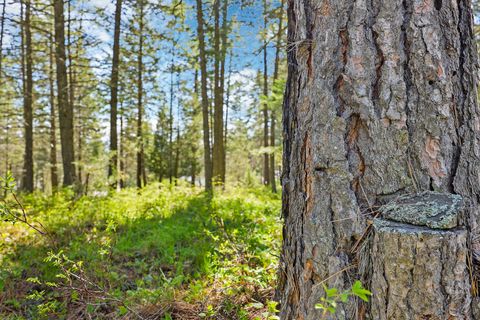 Tiny photo for 267 Lakeview Drive, Lakeside, MT 59922 (MLS # 30069768)