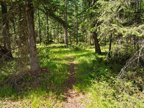 Tiny photo for 555 & 561 Twin Bridges Road, Whitefish, MT 59937 (MLS # 30053208)