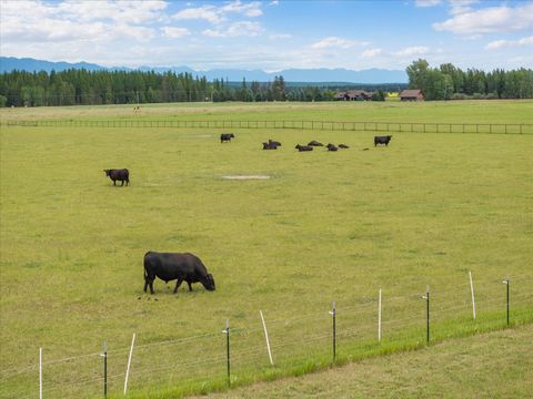 Tiny photo for 555 & 561 Twin Bridges Road, Whitefish, MT 59937 (MLS # 30053208)