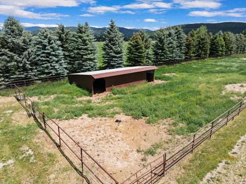 Tiny photo for 555 & 561 Twin Bridges Road, Whitefish, MT 59937 (MLS # 30053208)