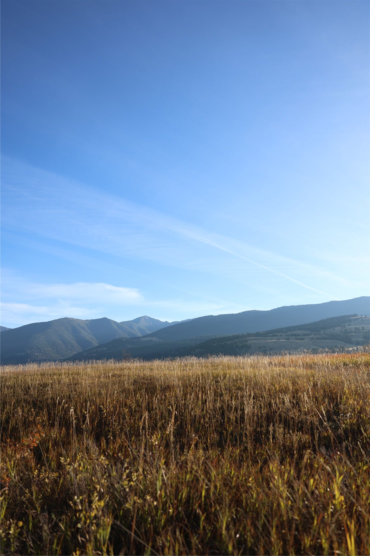 NHN Phillips Creek Trail